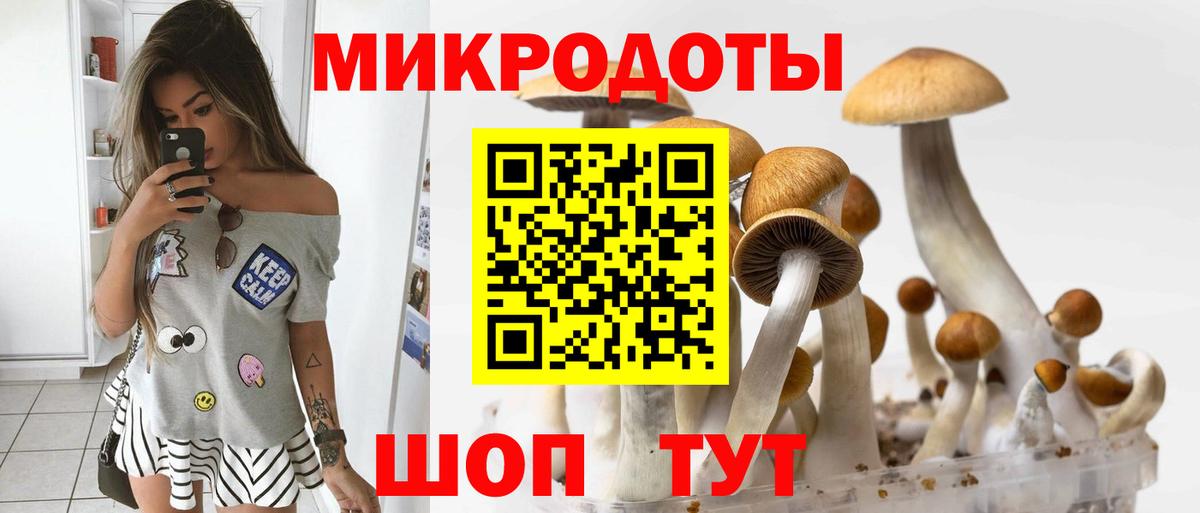 Нарткала  Псилоцибиновые грибы ЛСД  Вход с VPN 